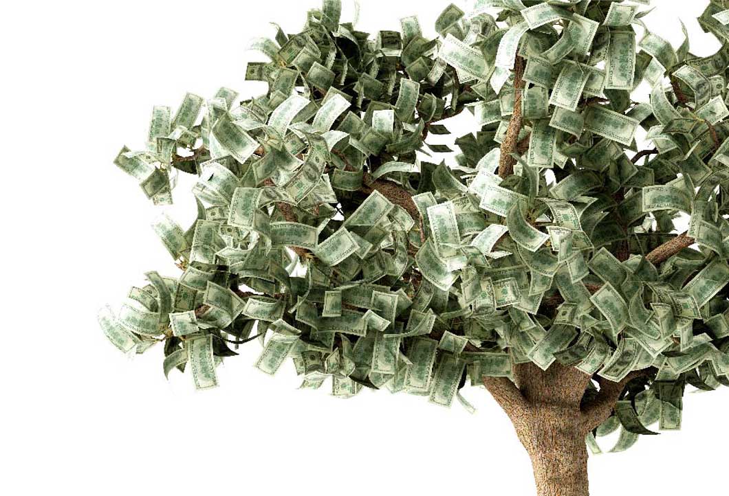 tree made of money